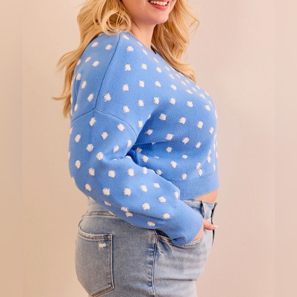 NWT Arula Hailey dot sweater, Arula size B, 2X - Picture 2 of 6